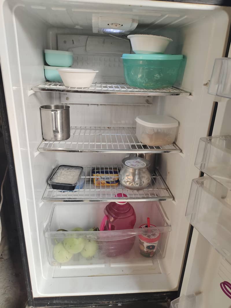 Pell Refrigerator 1
