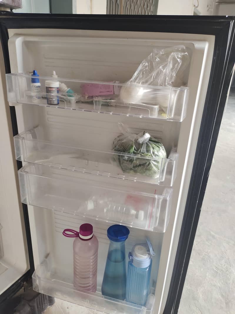 Pell Refrigerator 2