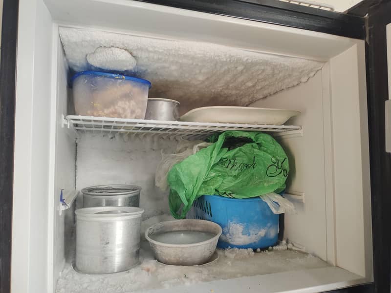 Pell Refrigerator 3