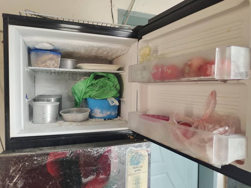 Pell Refrigerator 4