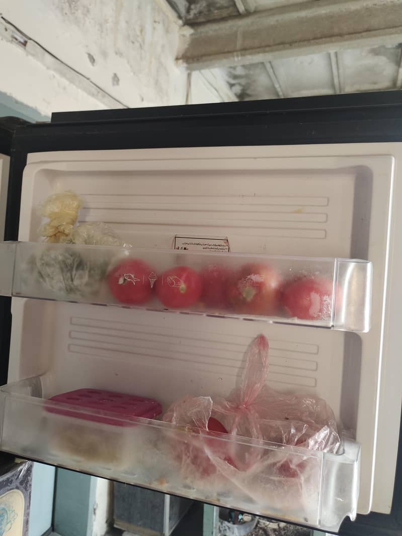 Pell Refrigerator 7