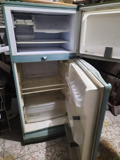 Large Pel Fridge for Sale