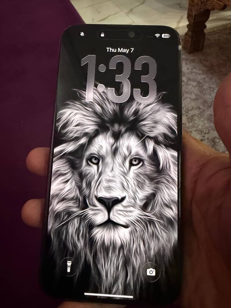 15 pro max 2
