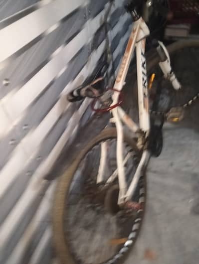 frike cycle for sale