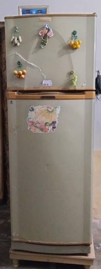 refrigerator 10 by 10