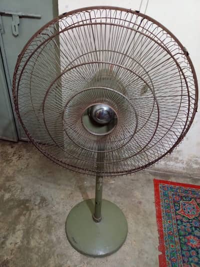 Pak Fan, Full size
