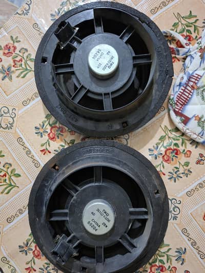 Car door speaker