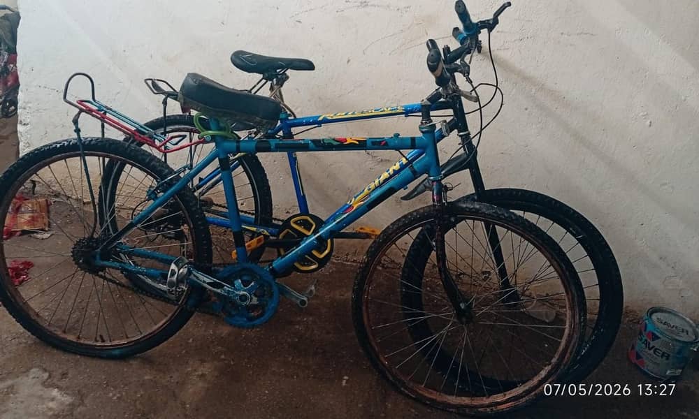 2 Bicycles 2
