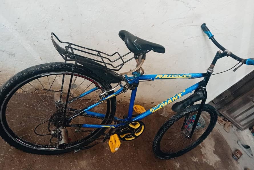 2 Bicycles 6