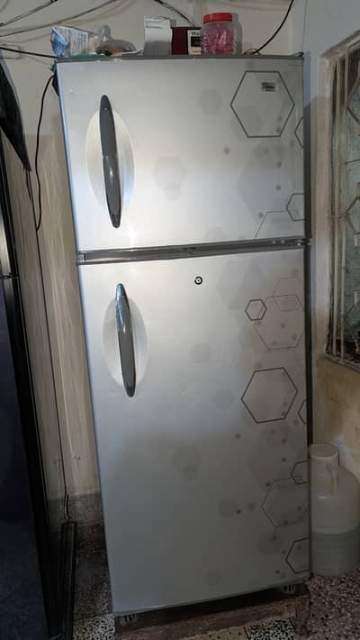 Hair Refrigerator