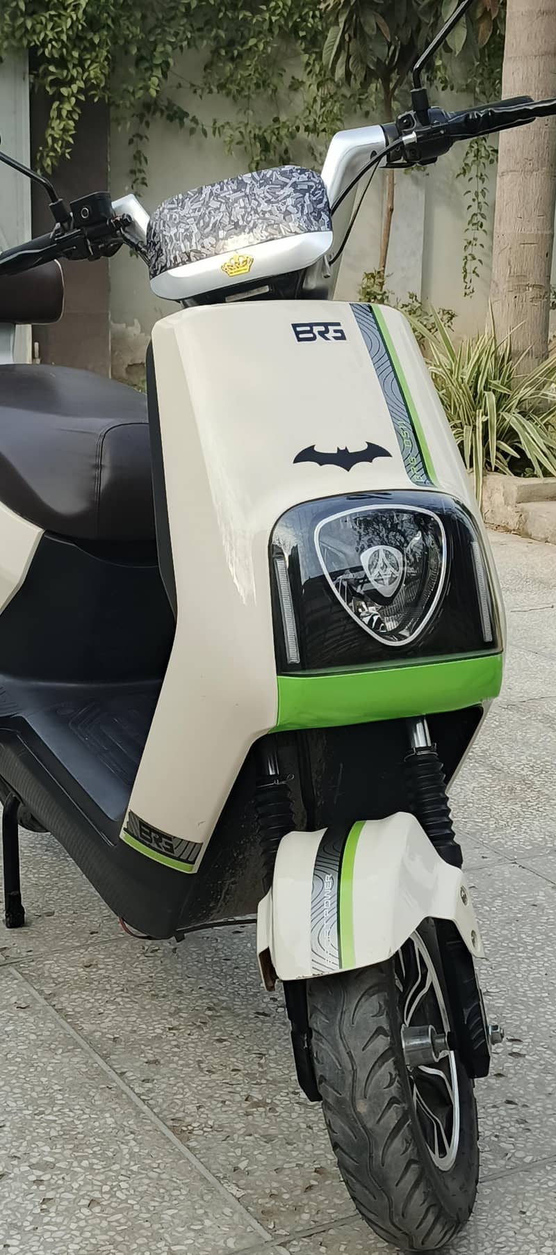 Electic bike 1