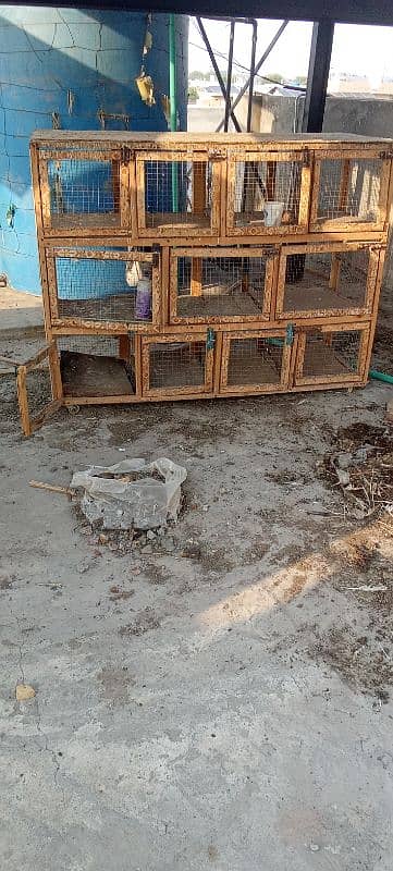 Ayam Cemani , Polish, Turkey , Cage