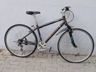 Giant hybrid bike