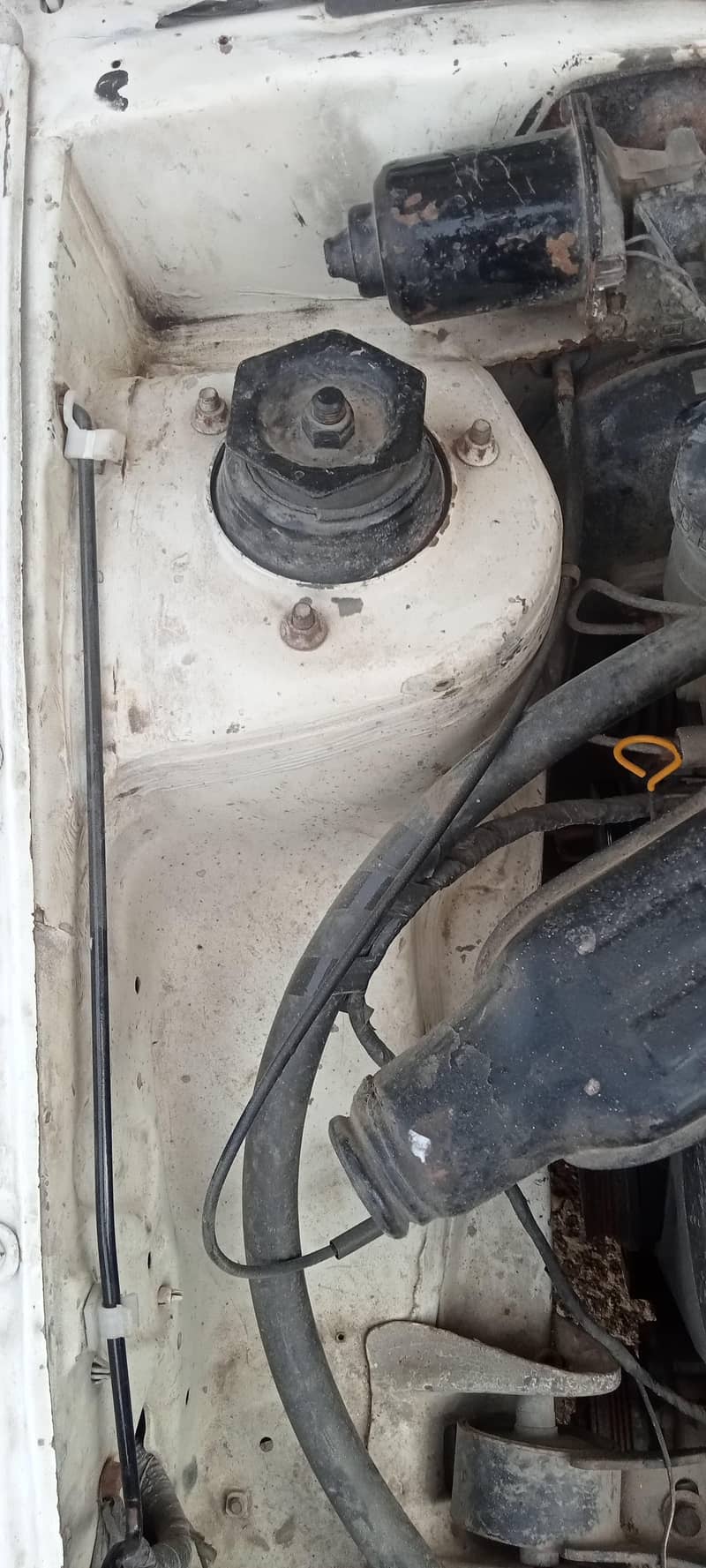 Suzuki 2