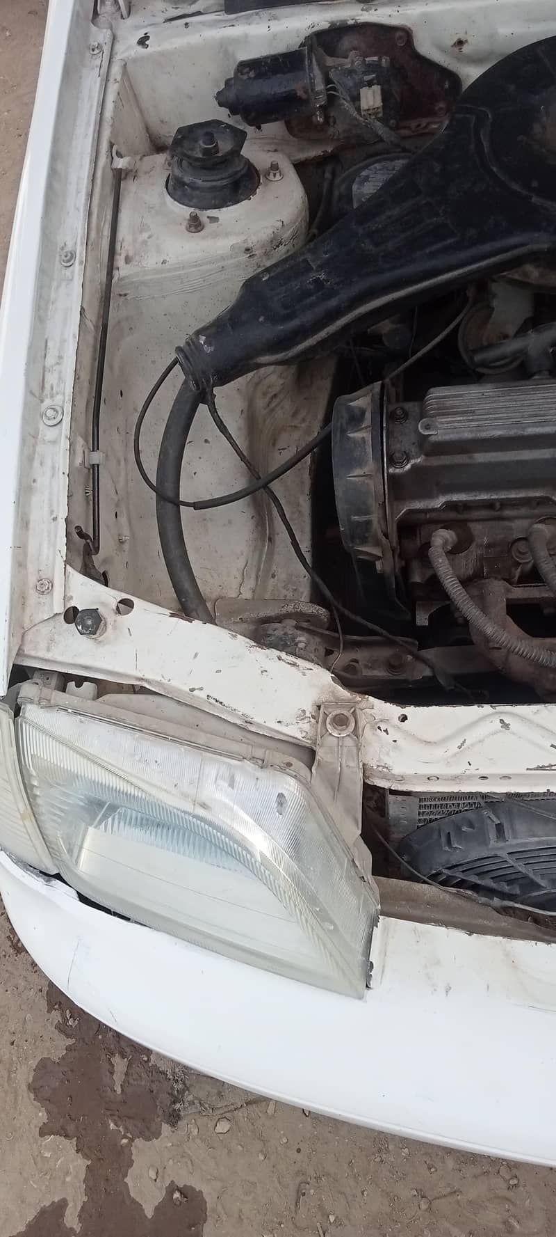 Suzuki 4