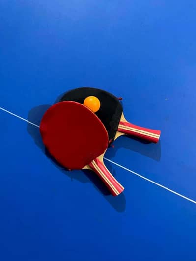 Full Size Tables Tennis 10/10 Condition