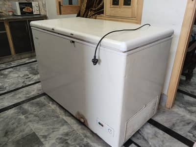 Haier freezer
