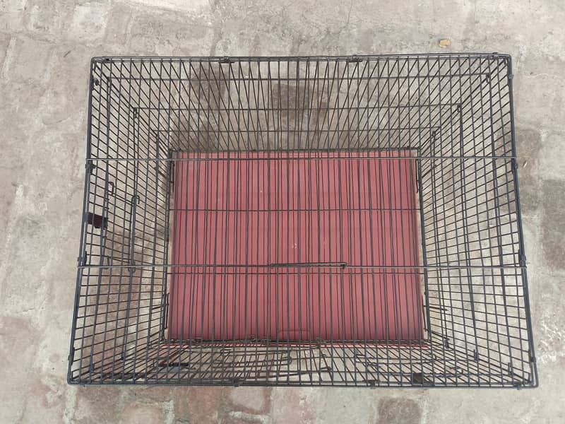 Hen cages 0