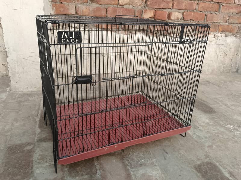 Hen cages 3