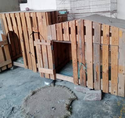 Dog Cage /Pet Cage /Large cage/Animal Cage