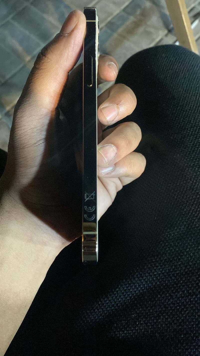 12 pro pta approved 2