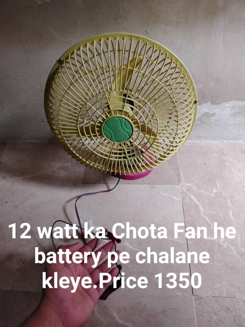 Bird fan 1