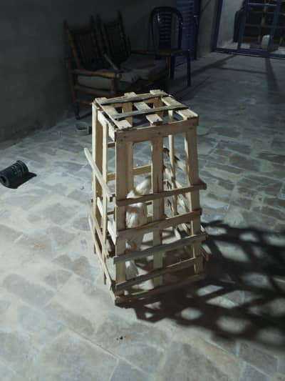 wooden tokra for aseel murga