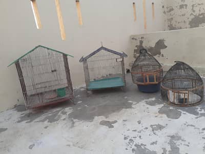 cages for sale