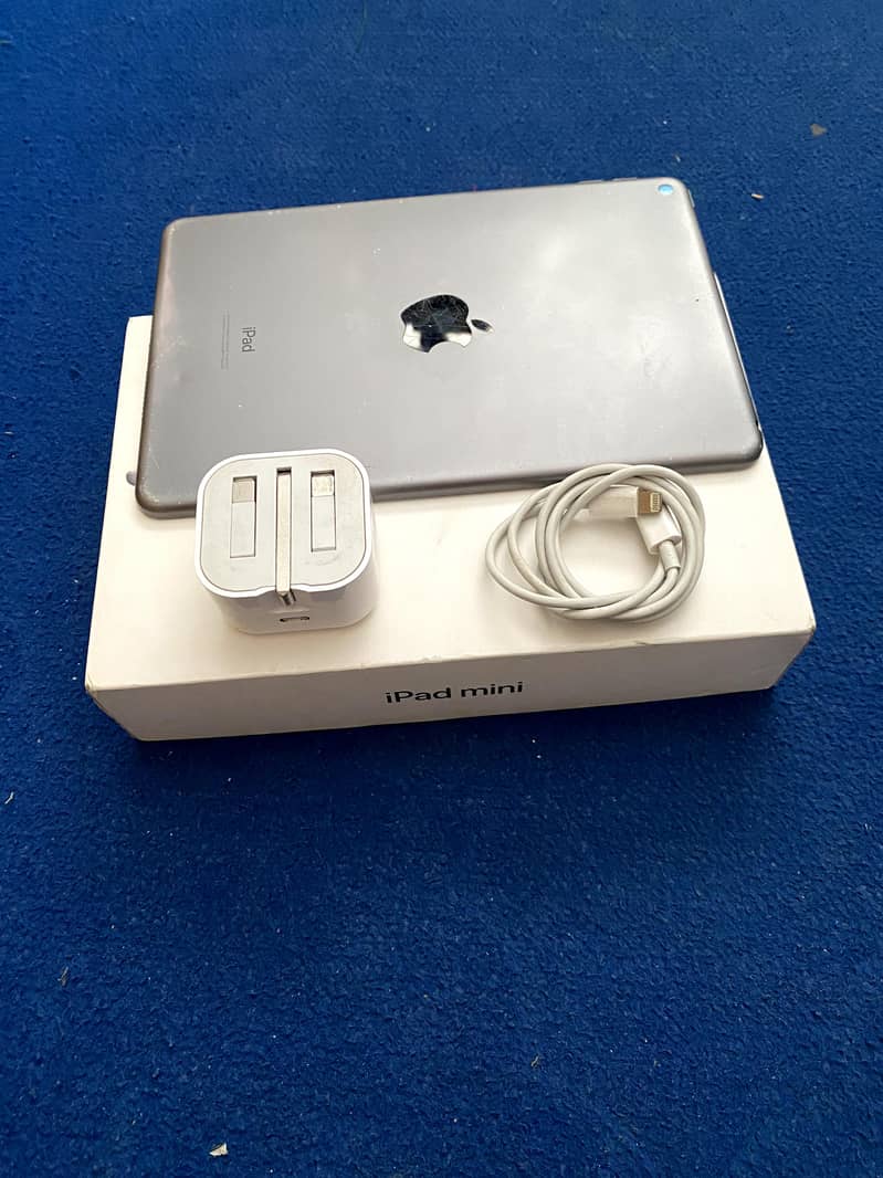 ipad mini 5 0