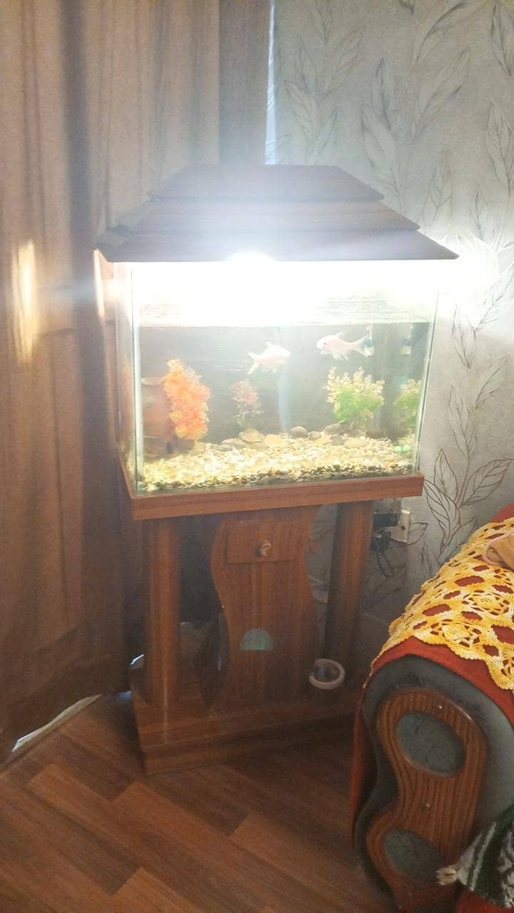 fish eqriem 0
