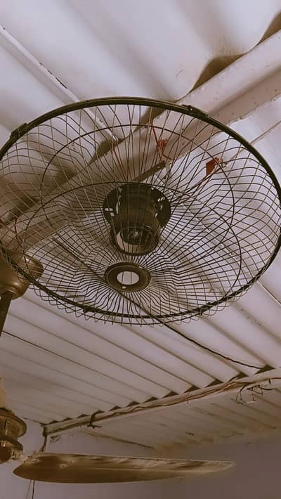 12 volt fan