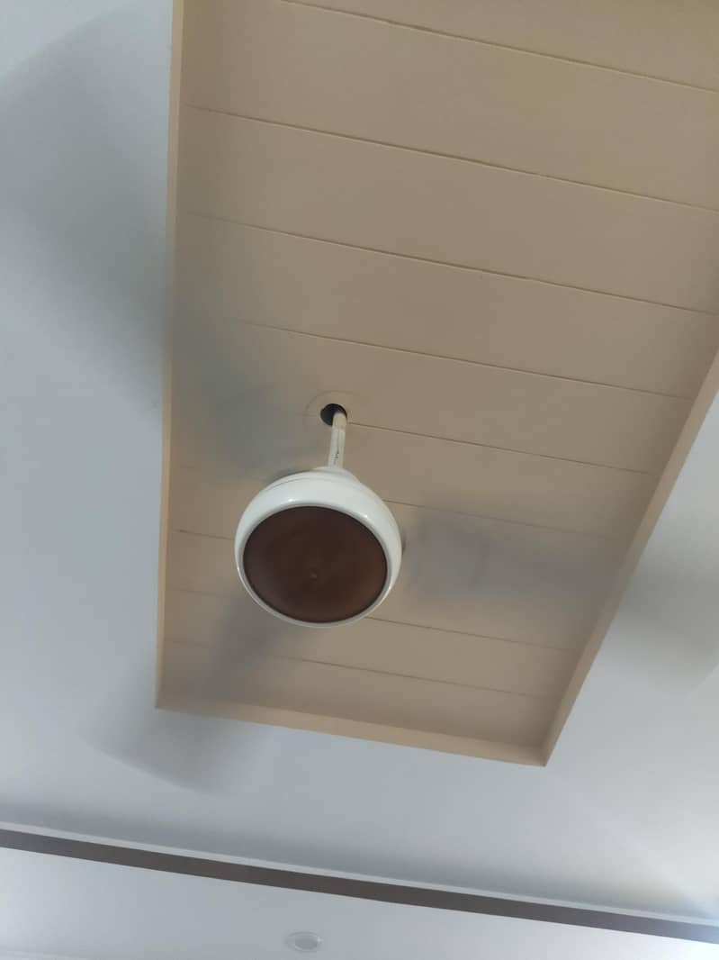 Fan ceiling 1