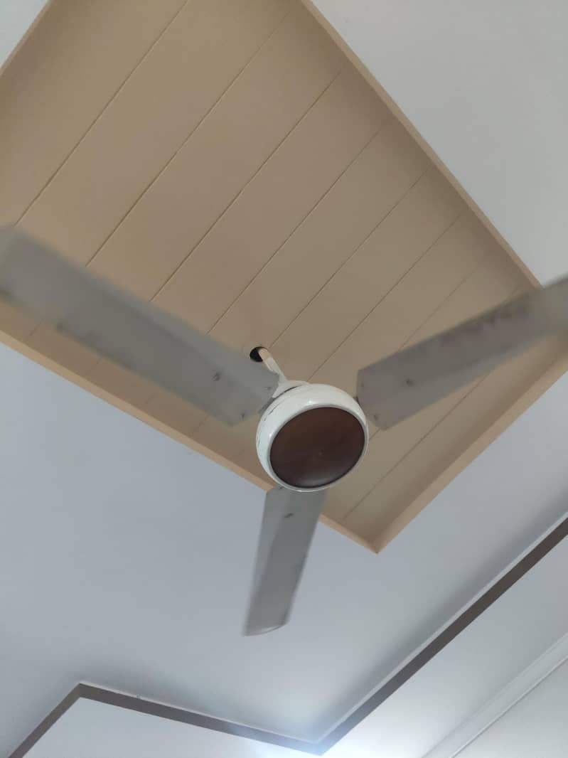 Fan ceiling 3