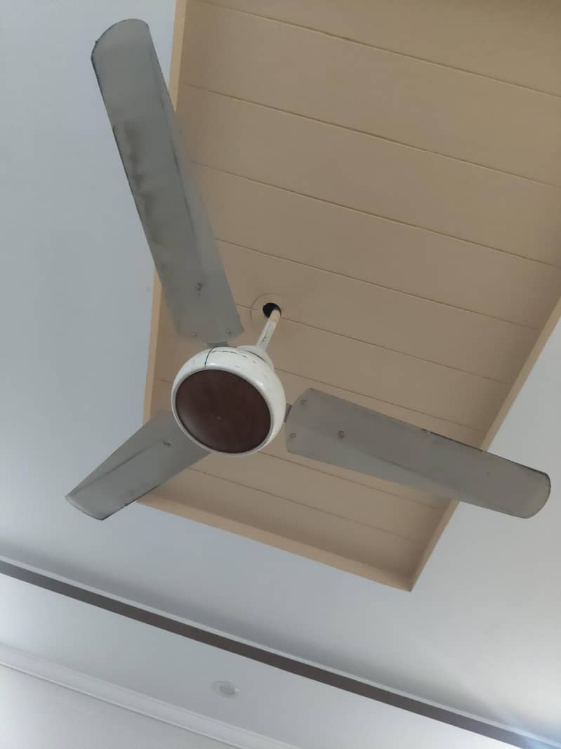 Fan ceiling 4
