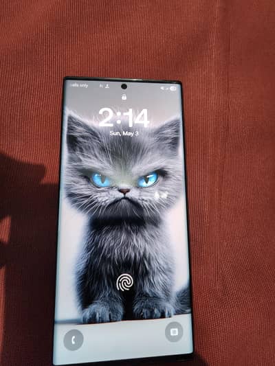 Samsung S22 Ultra