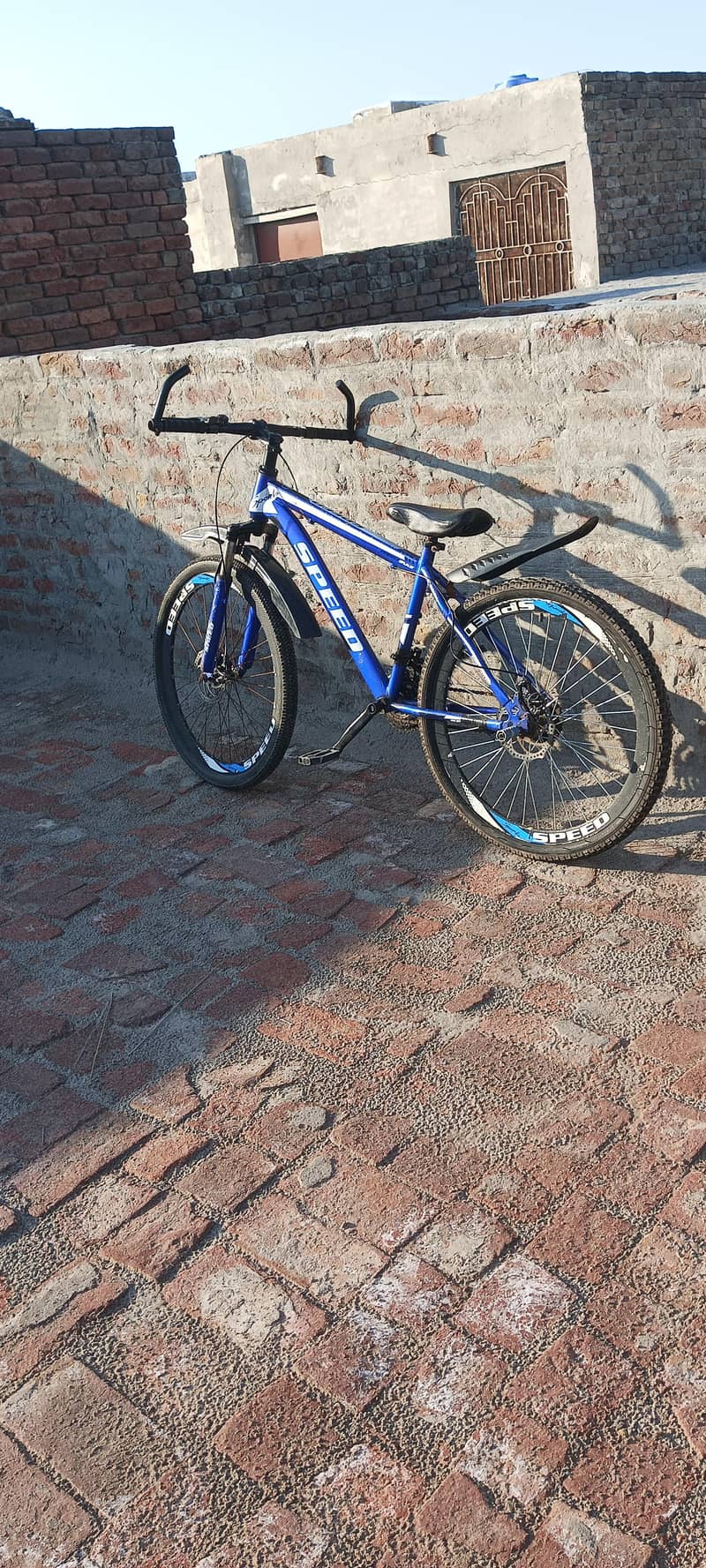 Speed by cycle 2