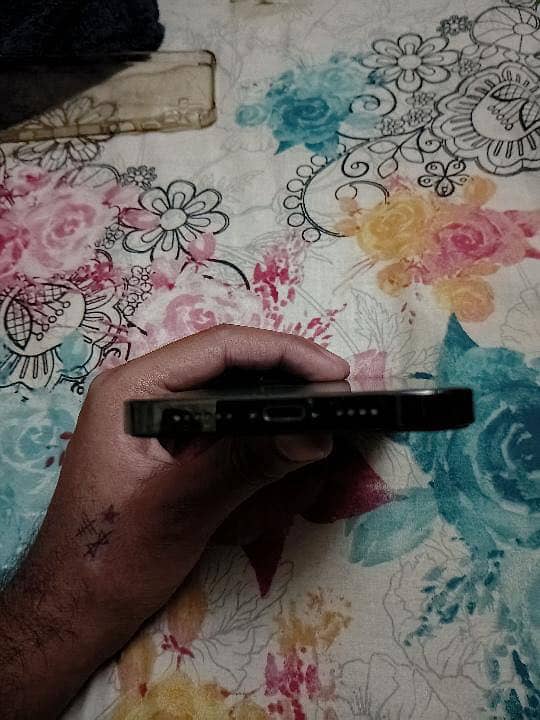13 pro max 2
