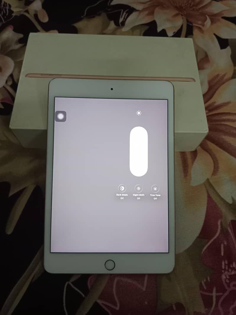 Ipad Mini 5 with Box 5