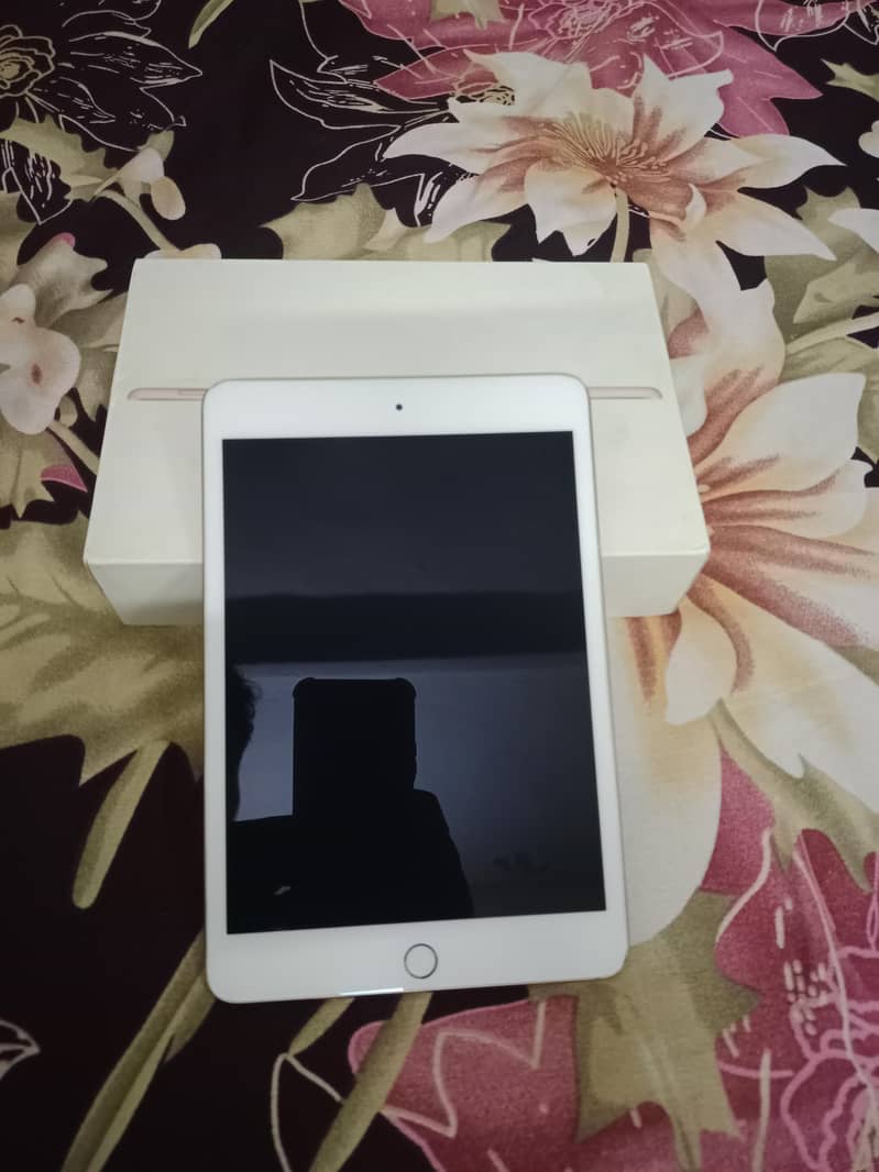 Ipad Mini 5 with Box 6