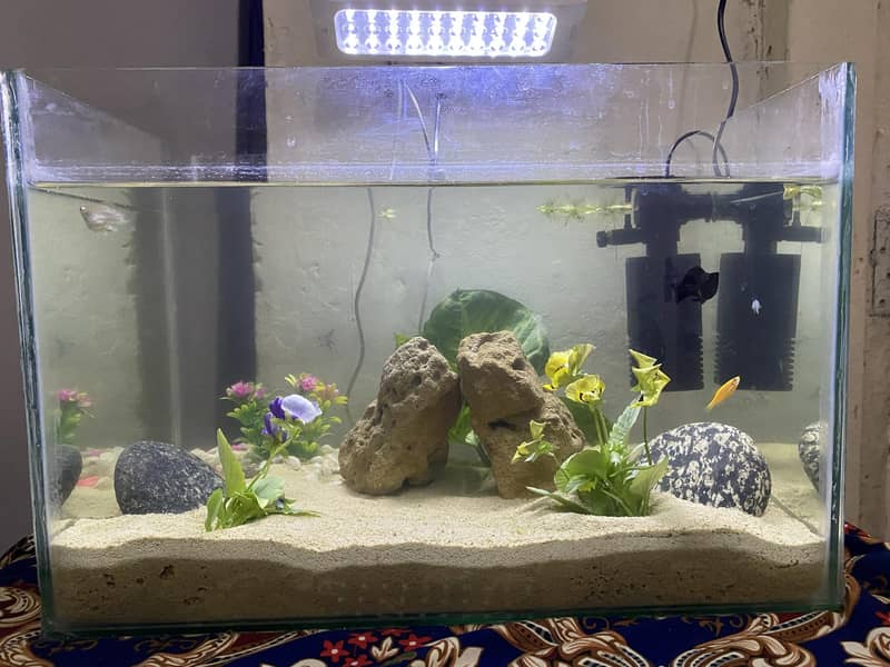 Aquriam complete setup 2