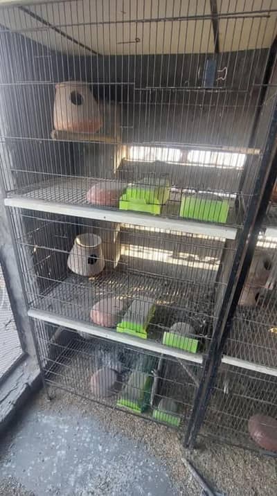cages 2.5 by 1.5 by 1.5