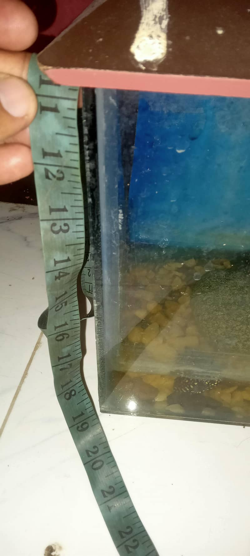 fish aquarium 2