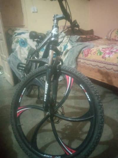ROMAN MOUNTAIN BIKE