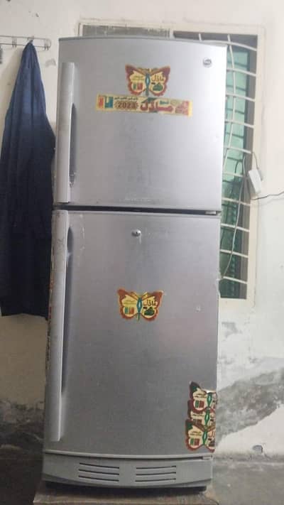 pel medium size refrigerator