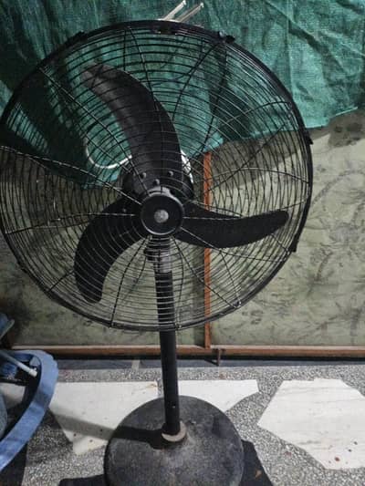 Soler fan