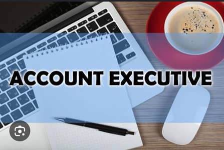 Deputy Manager Accounts