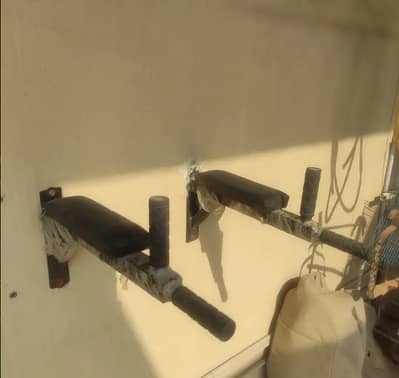 Wall Mounted Dip Bars