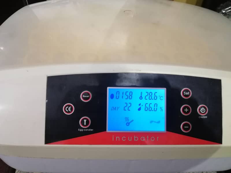 egg incubator 0