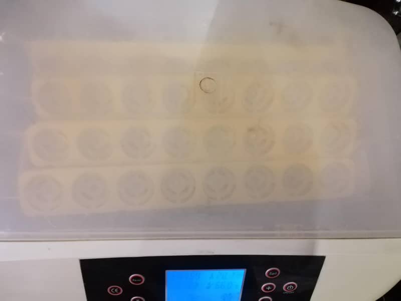 egg incubator 2