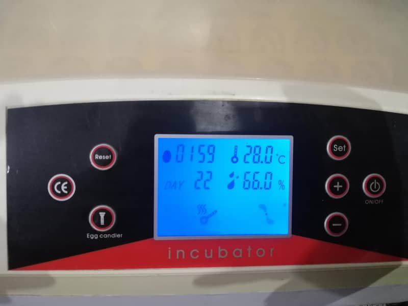 egg incubator 3